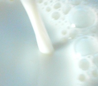 Aktuelle Bio-Milchpreise Ostdeutschland 12.11.2015