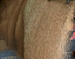 Importbeschrnkung fr russisches Getreide