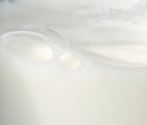 Aktuelle Milchpreise Sachsen 12.08.2021