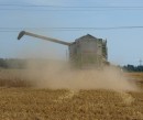 Getreideernte 2010 in Österreich um 5 % kleiner als im Vorjahr