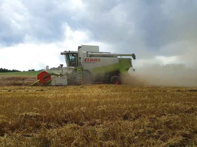 Getreideernte in Sachsen 2022