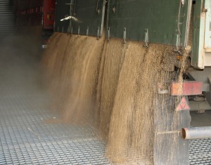 Getreideexport Russland