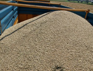 Getreidehandel