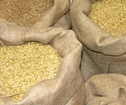Versorgungsbilanz Weizen