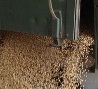 Weizenpreise 2022 - KW 11